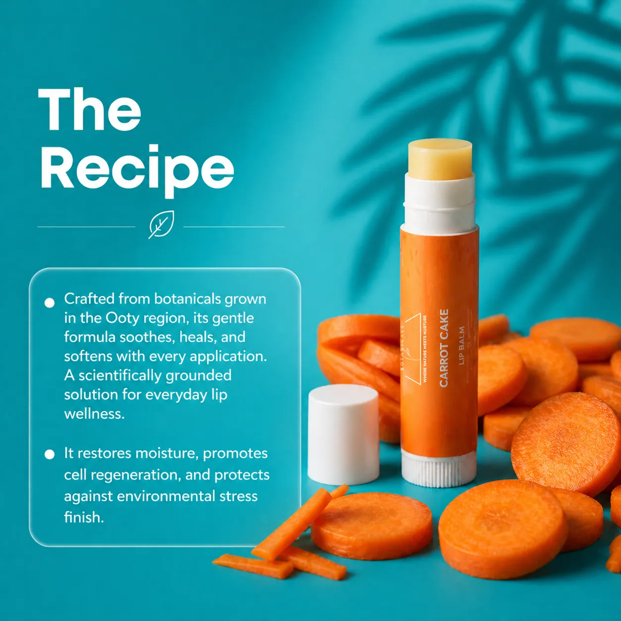 Carrot & Vanilla Lip Balm for Soft, Nourished & Comfortable Lips with the goodness of Carrot extract, Vanilla extract & Coconut Butter