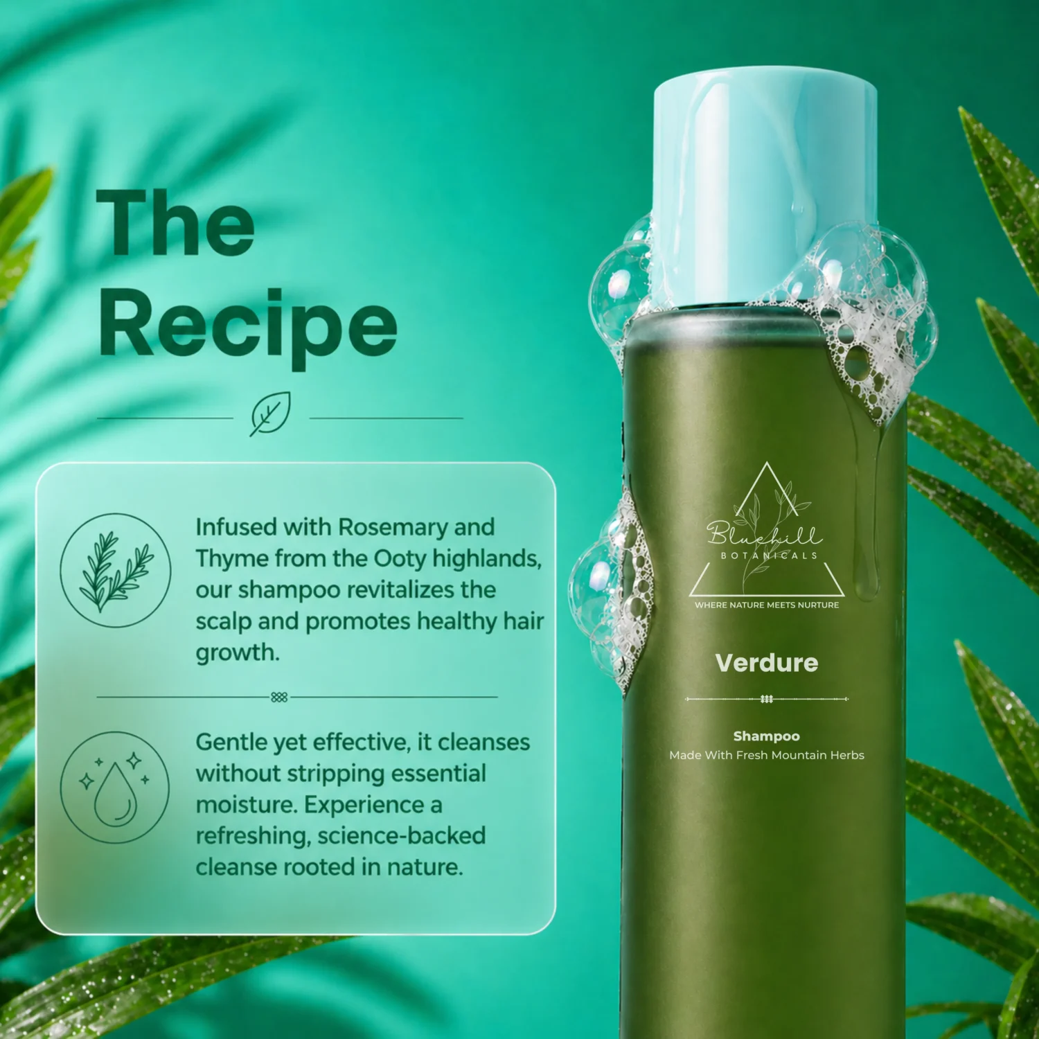 Verdure Shampoo for Gentle Cleansing, Hair Strength & Scalp Balance with Biotin & Rice Bran Oil