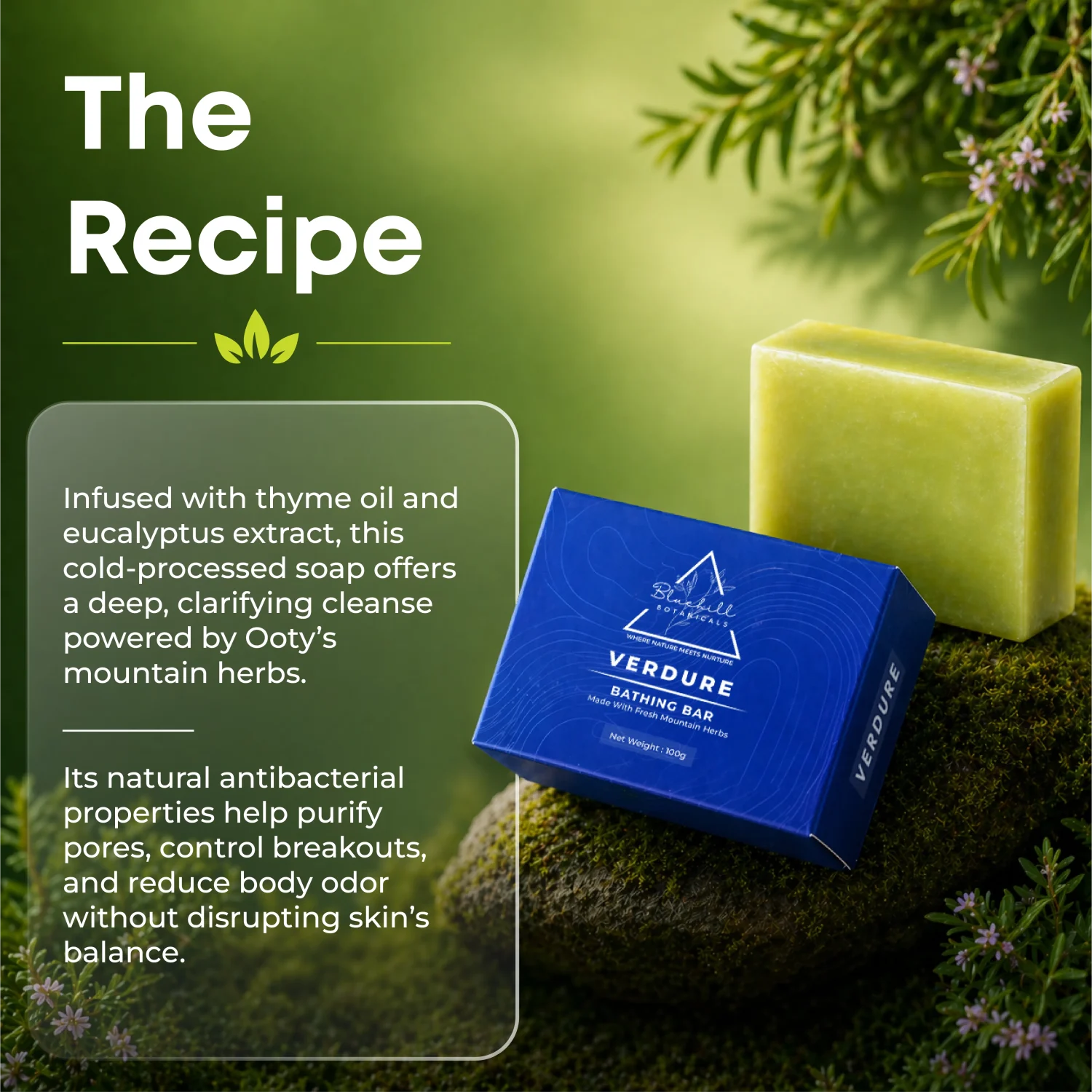 Verdure Bath Soap for Gentle Cleansing & Skin Comfort with Coconut & Olive Oils ( Family Pack of 3)