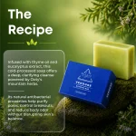 Verdure Bath Soap for Gentle Cleansing & Skin Comfort with Coconut & Olive Oils ( Family Pack of 3)