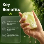 Verdure Bath Soap for Gentle Cleansing & Skin Comfort with Coconut & Olive Oils ( Family Pack of 3)