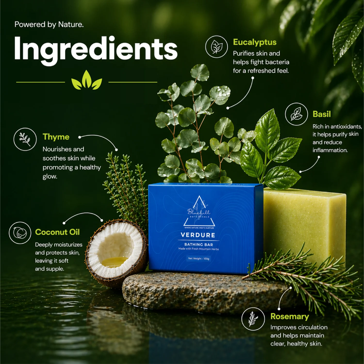 Verdure Bath Soap for Gentle Cleansing & Skin Comfort with Coconut & Olive Oils ( Family Pack of 3)