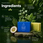Verdure Bath Soap for Gentle Cleansing & Skin Comfort with Coconut & Olive Oils ( Family Pack of 3)